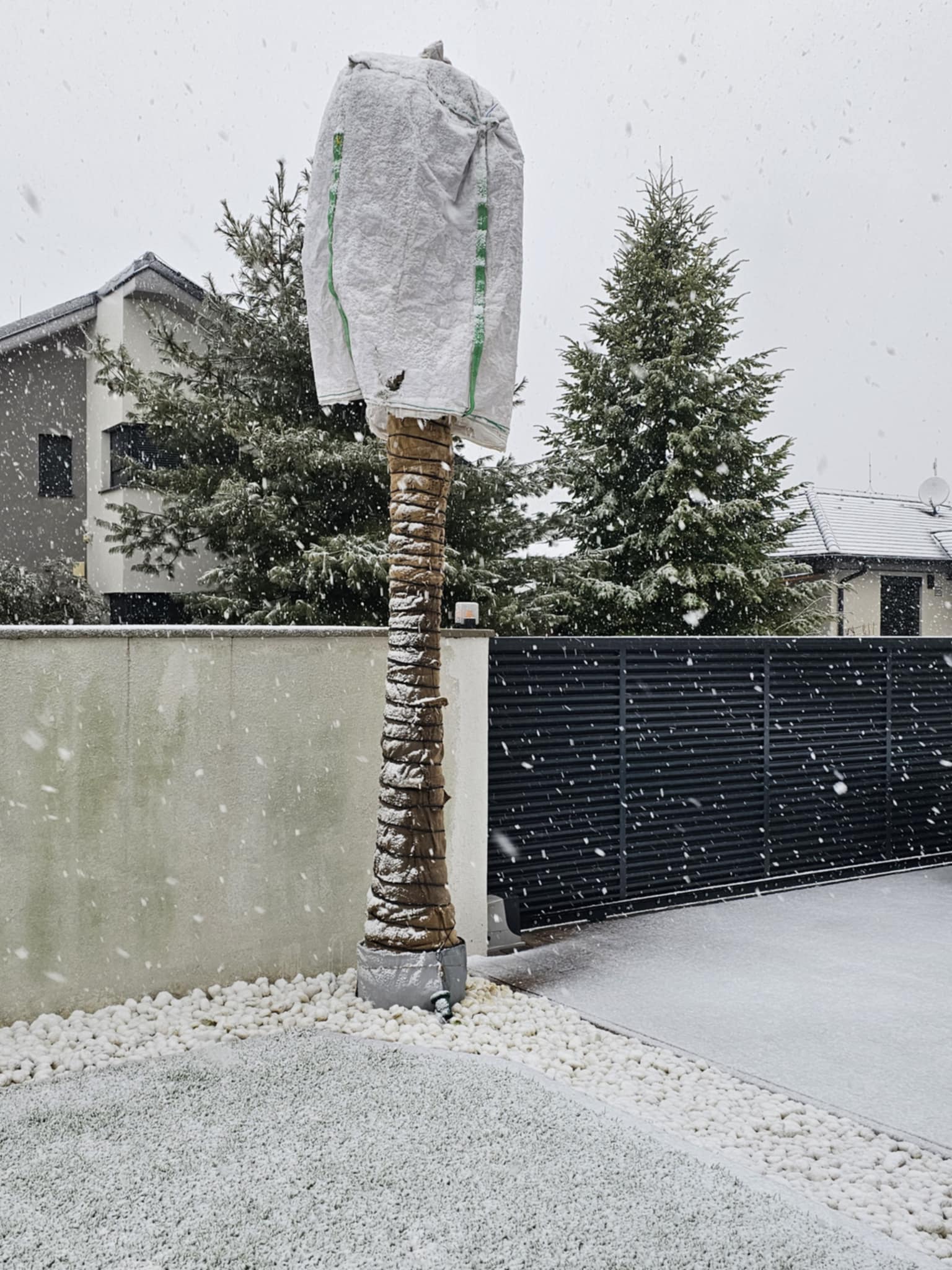 06f575a0-1371-44ef-8a35-5003f3981fa3 (1)